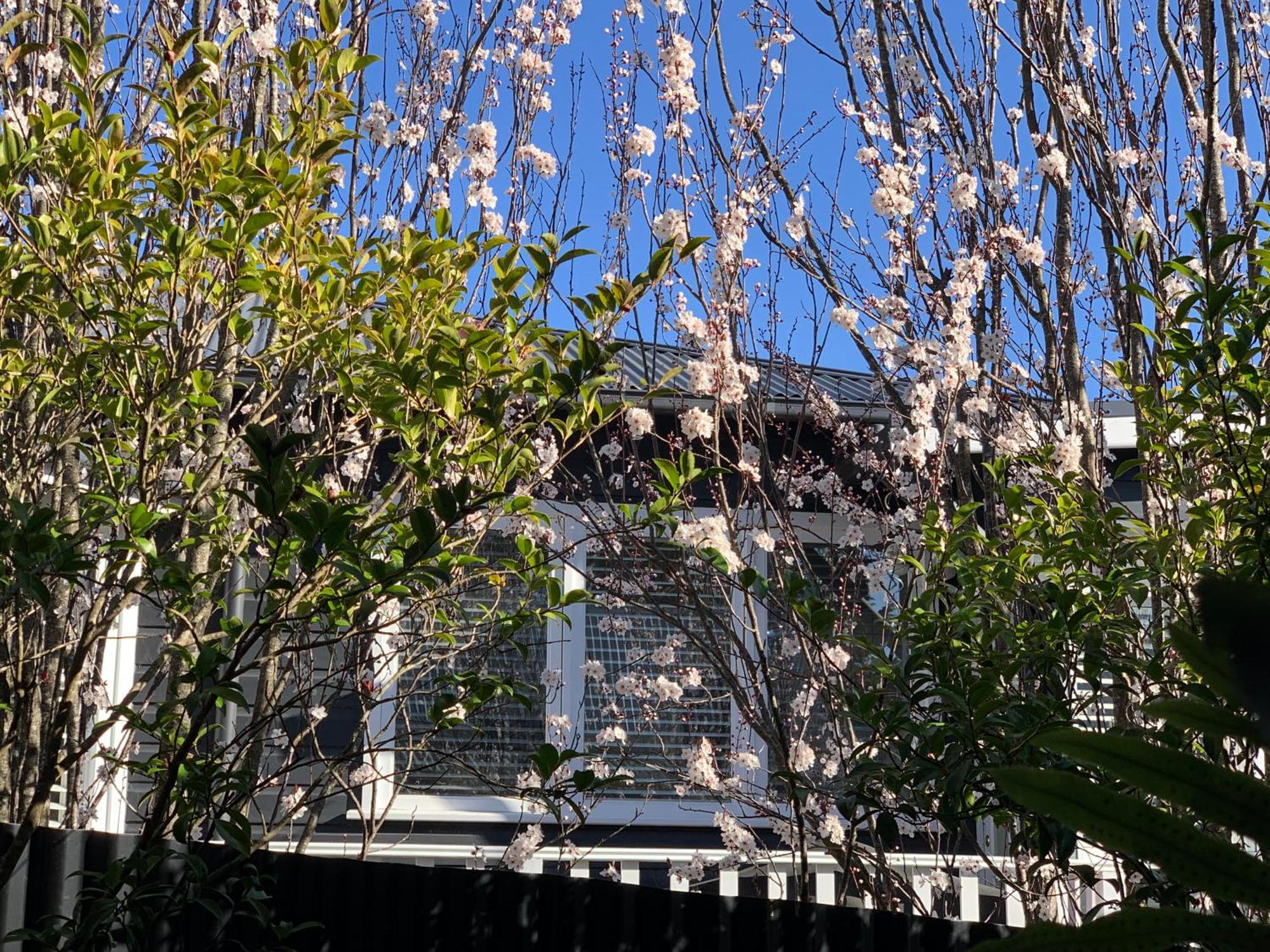 Chinoiserie - Blue Mountains Boho Luxe Katoomba Exterior photo
